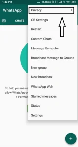 Gb whatsapp pro extra security
