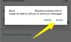Block a contact in whatsapp