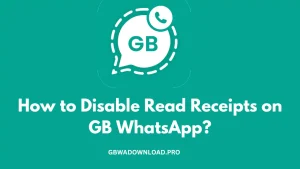 How to Disable Read Receipts on GB WhatsApp?