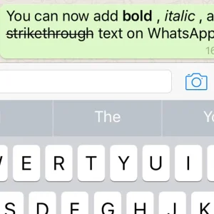 Italic Text in GB Whatsapp